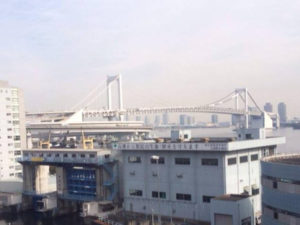 20141117 レインボーブリッジ