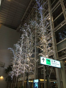 20141119 国際線ターミナル